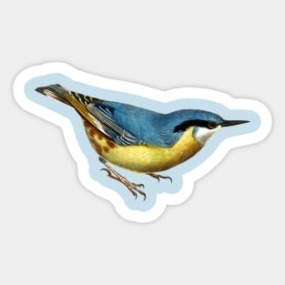 Bird Sticker